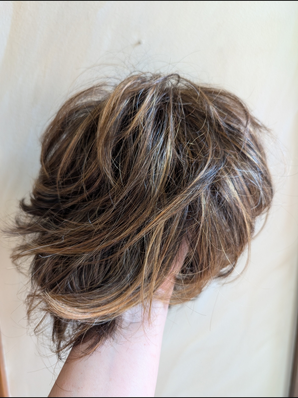 Raquel Welch Winner Wig R9S+ Shaggy Pixie Natural Brown Highlights EUC Box Tag - Picture 15 of 16